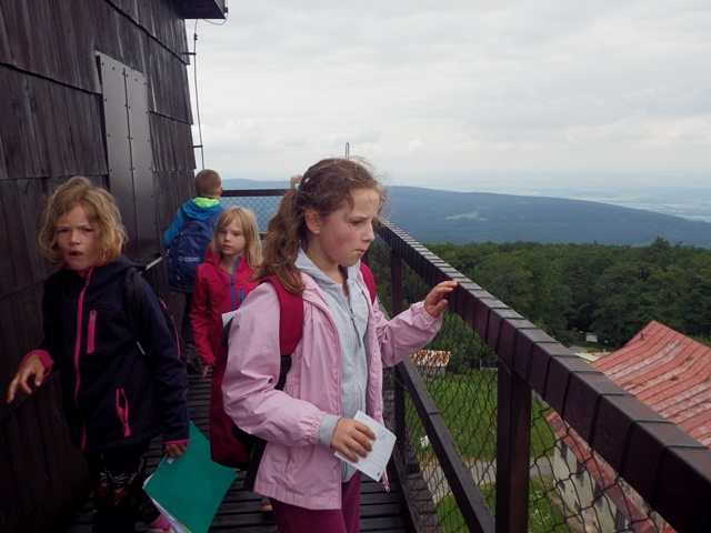 IMGP0035