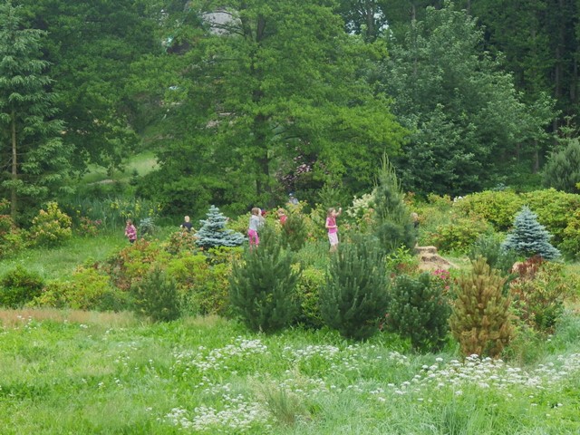 IMGP0002