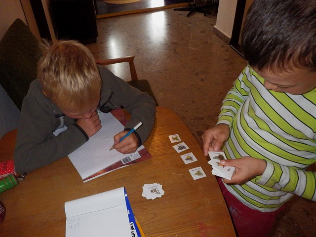 IMGP0012